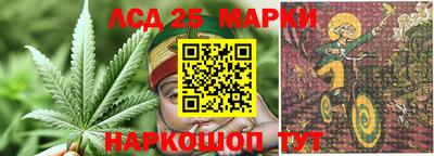 гидропоника Будённовск